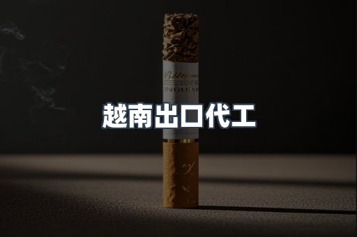 越南出口代工
